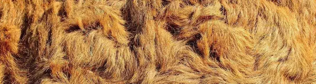 服装面料知识大全,还等什么,快收藏起来吧