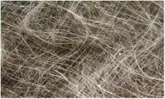 纺织材料中的各种纤维到底是什么？