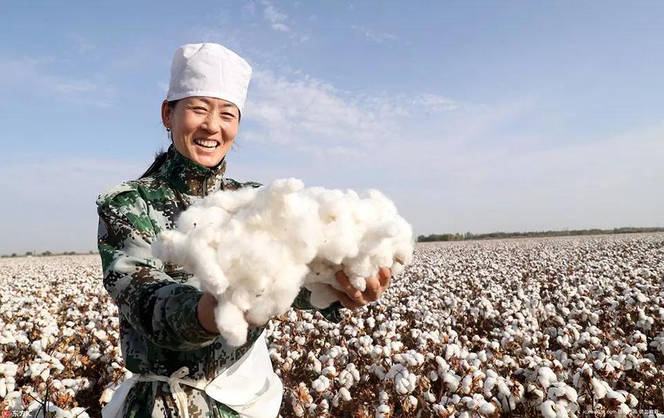 大反转!新疆棉一炮打响,中国纺织民族产业大爆发!