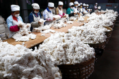 苏州维杰纺织：3982亿！一季度中国纺织原料出口额暴涨，西方抵制新疆