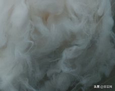 苏州维杰纺织：盘点那些市场潜力巨大的纤维面料