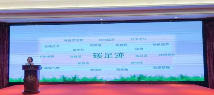 企业与专家齐聚,探讨针织行业节能减碳转型发展