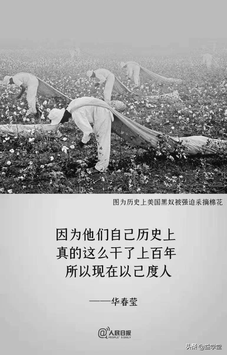 他们为什么要拿新疆棉花做文章？纺织服装行业能否趁势崛起？